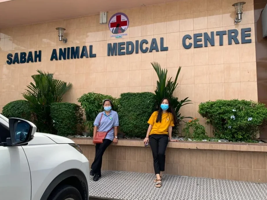 Sabah Veterinary Services & Supplies (SVSS) Animal Clinic 1 sabah veterinary services supplies svss animal clinic