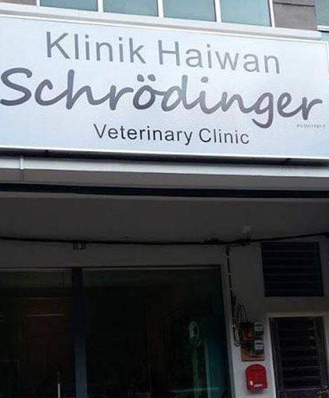 schrodinger veterinary clinic