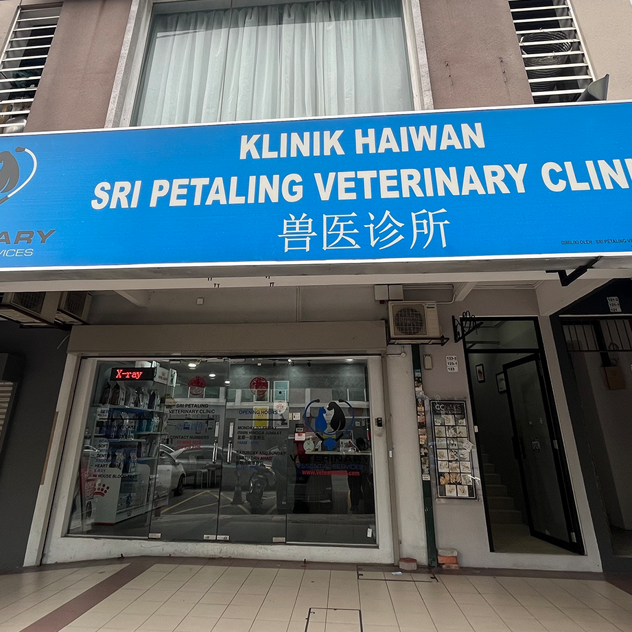 SNIP Veterinary Clinic and Surgery (Klinik Haiwan) 1 snip veterinary clinic and surgery klinik haiwan