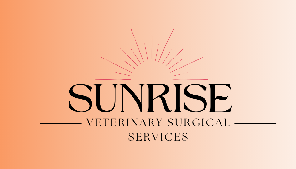 SUNRIZ VETERINARY CLINIC & SURGERY 1 sunriz veterinary clinic surgery