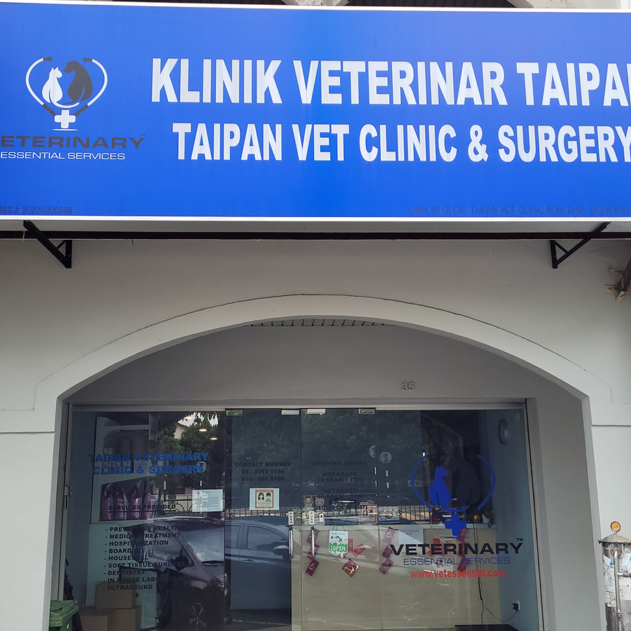 Taipan Veterinary Clinic & Surgery 1 taipan veterinary clinic surgery
