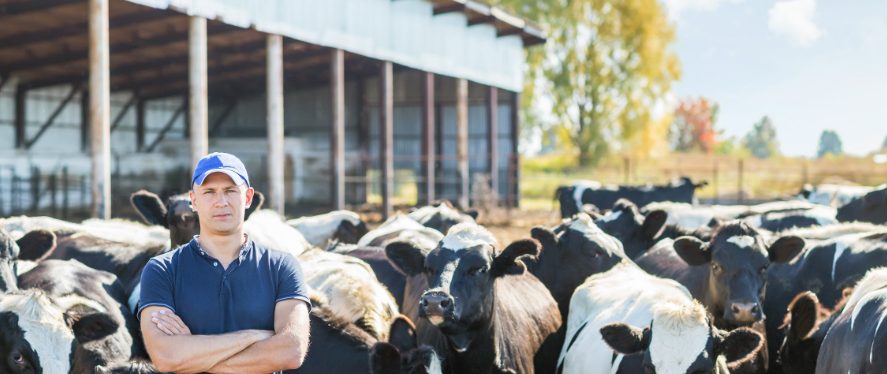 Tanah Merah Dairy Industry Services Centre, Department of Veterinary Services 1 tanah merah dairy industry services centre department of veterinary services