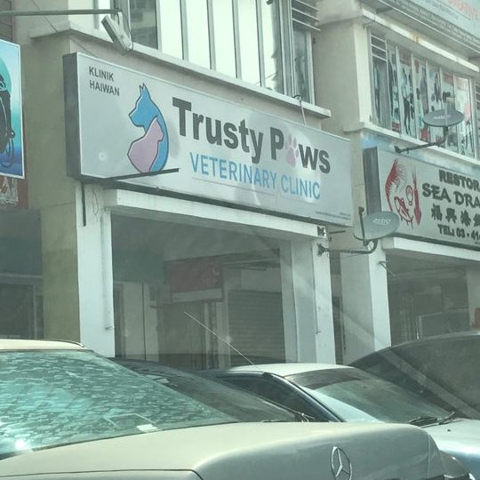 Trusty Paws Veterinary Clinic, Sri Rampai 1 trusty paws veterinary clinic sri rampai
