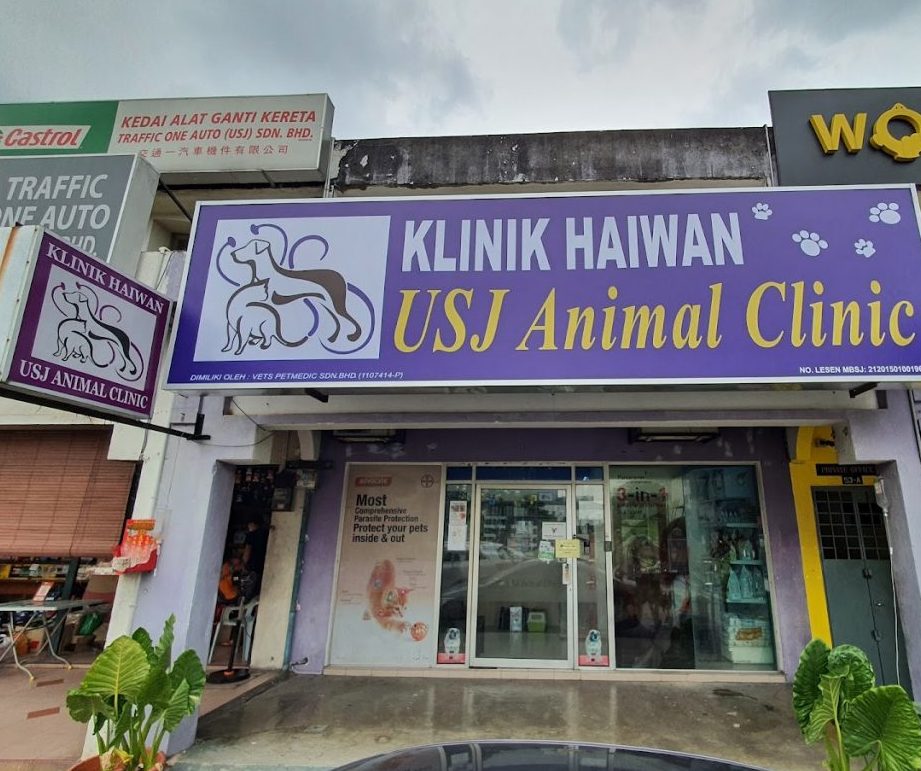 USJ Animal Clinic 1 usj animal clinic