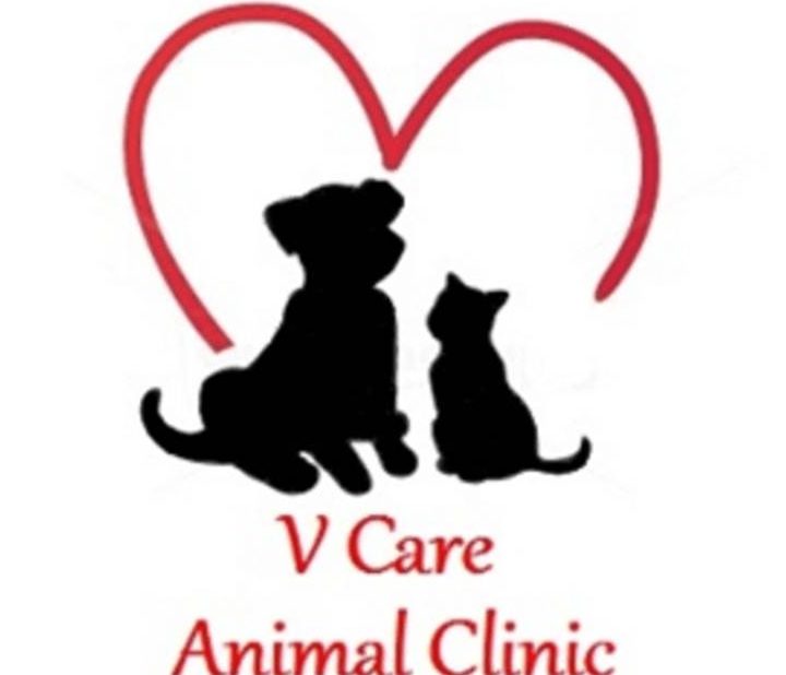V Care Klinik Haiwan 1 v care klinik haiwan