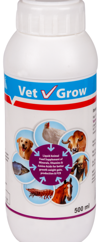 Vertex Veterinary Clinic 1 vertex veterinary clinic