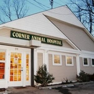 Vet Corner Veterinary Centre