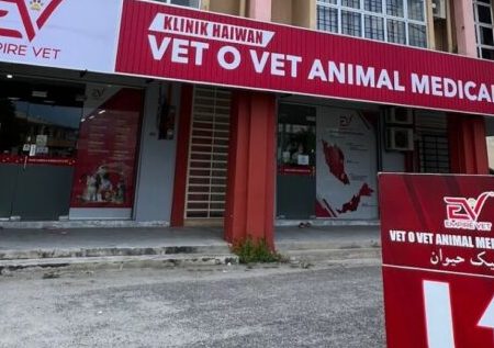 Vet O Vet Animal Medical Centre 1 vet o vet animal medical centre