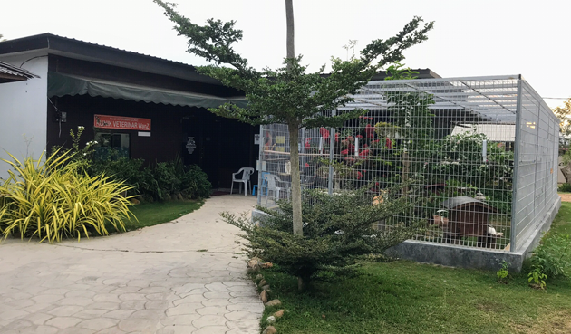 WanZ Petshop & Vet Clinic 1 wanz petshop vet clinic