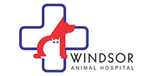Windsor Animal Hospital 1 windsor animal hospital