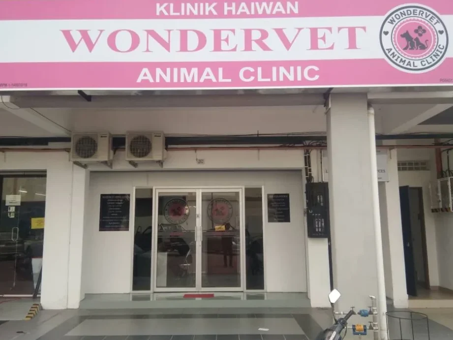 Wondervet Animal Clinic 1 wondervet animal clinic
