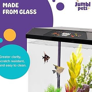 YY Pet Shop & Aquarium 1 yy pet shop aquarium