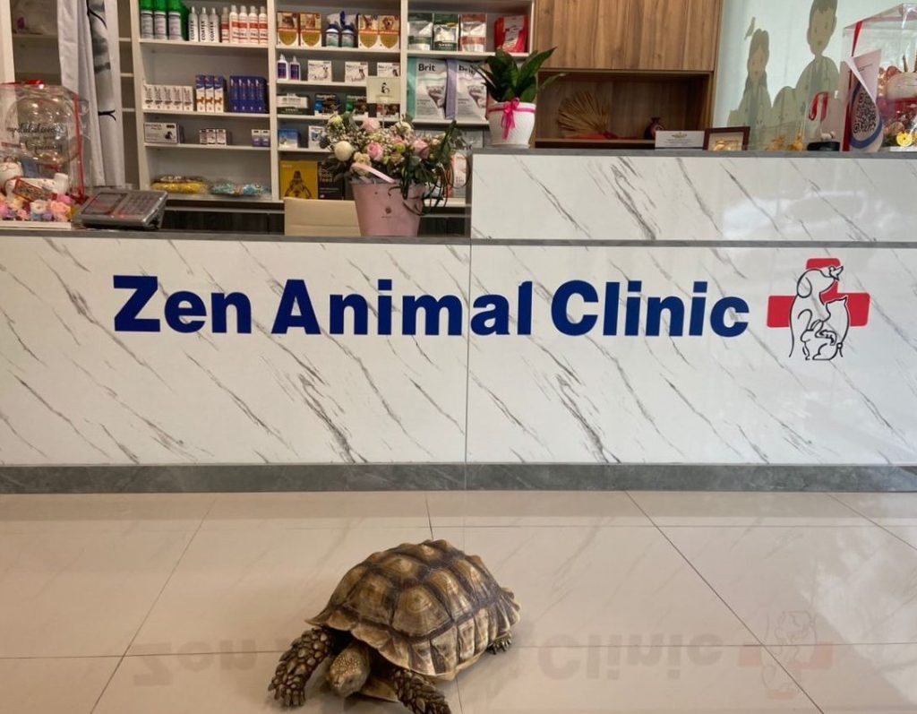 Zen Animal Clinic (Companion and Exotic animal clinic) 1 zen animal clinic companion and exotic animal clinic